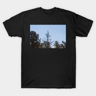 Raven's Way T-Shirt